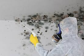 Best Biohazard Mold Removal  in Watertown, FL